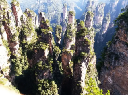 张家界旅游有哪些坑 张家界旅游注意什么